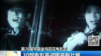 国产片子,光影交织下的时代印记